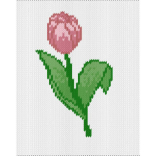 tulip