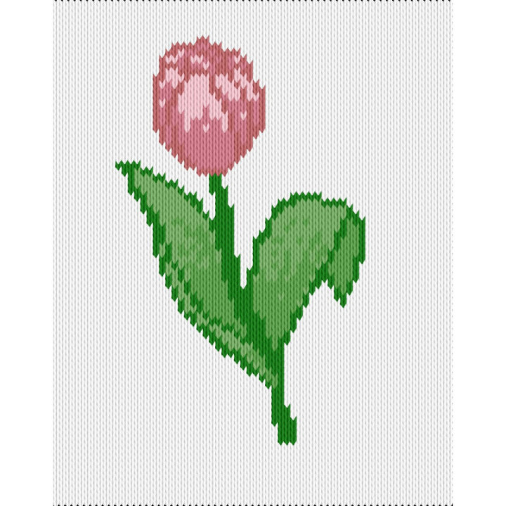 tulip