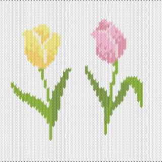 tulips