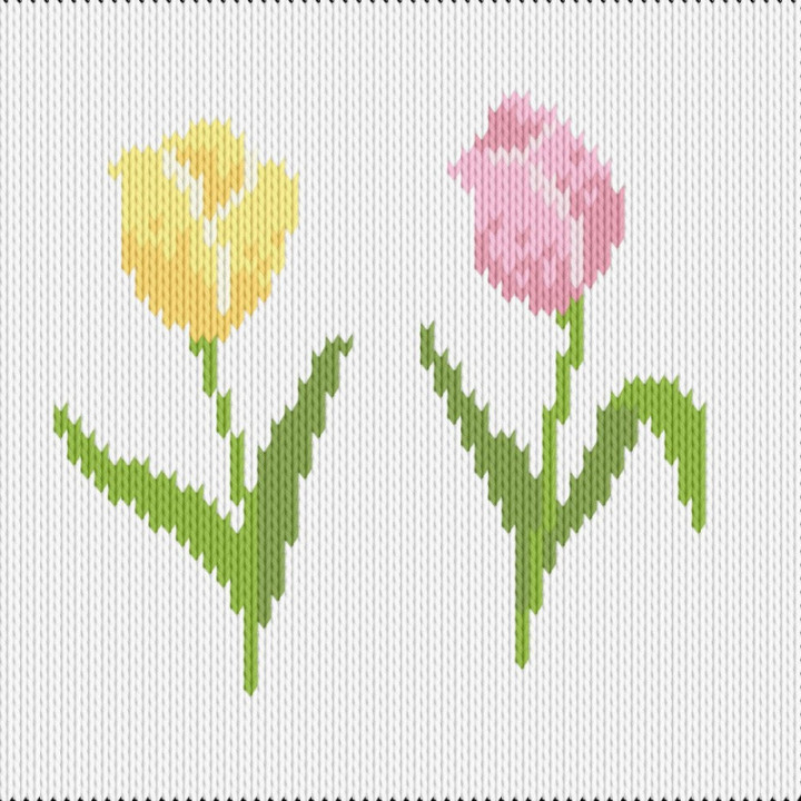 tulips