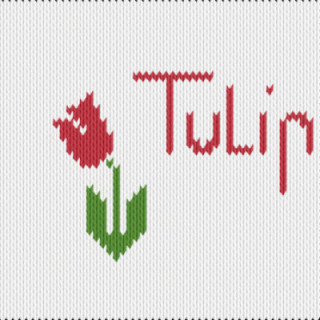 Tulip