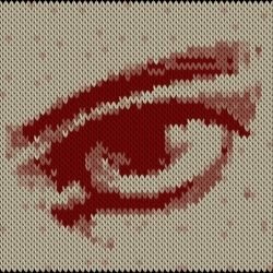 Eye